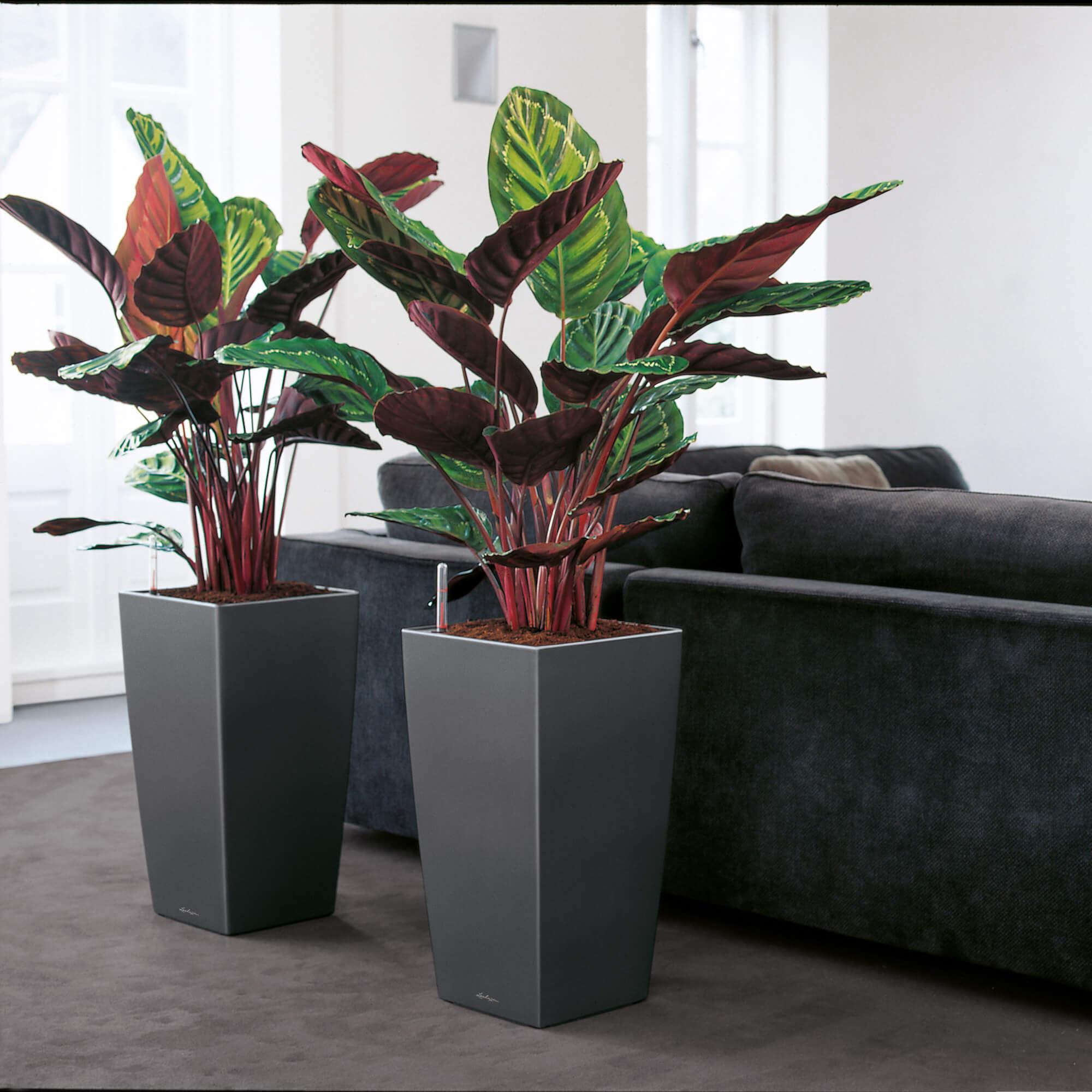 le_cubico40_product_addi_02